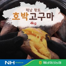 해남화산농협 2023년 햇 호박고구마 4kg, 없음