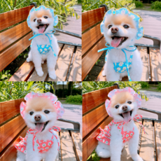 소잉디자이너펫의상