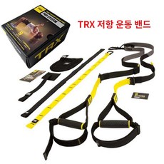 서스펜션 전신 저항 밴드 TRX 운동 코어 헬스 풀업 로프 벨트 홈트