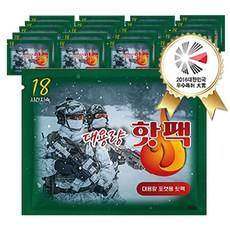 [애니데이] HOT팩 군용 대용량 150g, 40개