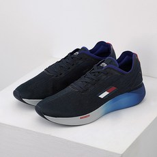 타미힐피거캐리어