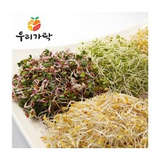 프리미엄 신선채소 새싹모듬 50g 20개입, ONE COLOR, ONE SIZE