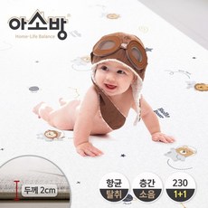 아소방1+1