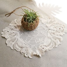 벨로플렉스코르사레이스