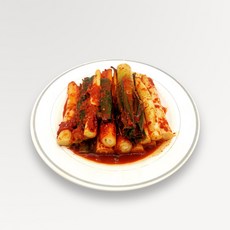 [청우김치]청우 맛있는 파김치 대파 김치 10kg 1개