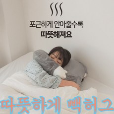 코스트코바디필로우