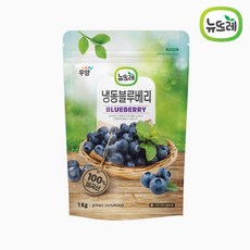 뉴뜨레 냉동 블루베리 홀 1KG x 5봉 (미국산 무가당)