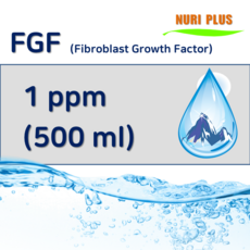 FGF 에프지에프 진피세포 피부탄력 주름 보습 1ppm/500ml, 1개, 500ml