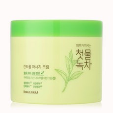 과일나라 첫물녹차 컨트롤 마사지 크림, 300g, 1개