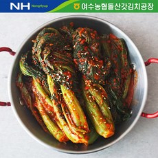더싱싱 (HACCP 전통식품인증) 여수농협 여수 돌산 갓김치 2kg, 1개