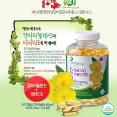 세인로즈