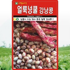 아람종묘 얼룩넝쿨 강낭콩 씨앗 30g 넝쿨 얼룩 강낭콩씨 종자