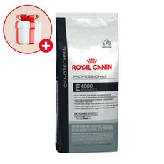 삼성인듀어런스