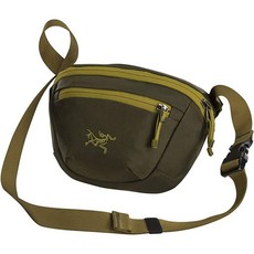 아크테릭스웨이스트백