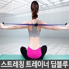 딥블루에듀