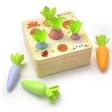 고려베이비실꿰기