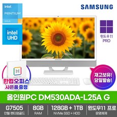 삼성전자 일체형PC 올인원 DM530ADA-L25A G Win11PRO/8GB램/SSD128GB/HDD1TB/한컴오피스증정/데스크탑, 8GB