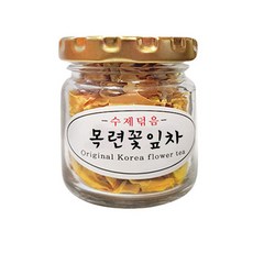 비염목련