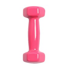 와켓 아령 다이어트 미용 요가 헬스 2개입