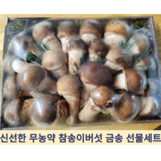 [국내산] 최상급 무농약 신선한 산지직송 금송세트 참송이버섯 선물세트 설날 추석 명절, 1개