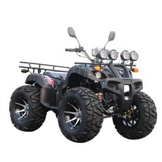 150CC ATV 사륜 오토바이 사발이 산악 바이크 해변 오프로드