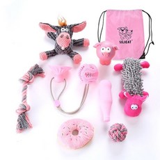 바램펫피트니스고양이