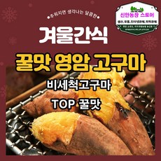 베니하루카 꿀고구마 황금호박고구마 햇 세척 비세척 영암 해남 여주, 1박스, 비세척 10kg 대