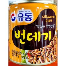 유동 번데기 캔 280g x24업소용 식자재 식당용 단체 급식용 식재료 대용량, 24개