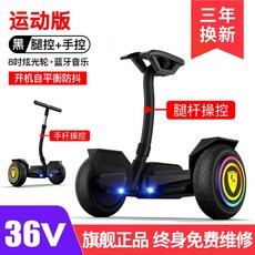 전동이륜평행차