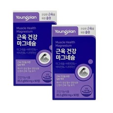 영진약품 영플랜 근육건강 마그네슘 950mgX90정 2개, 90정