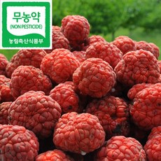 국산 무농약 꾸지뽕 열매(냉동) 3kg, 1개
