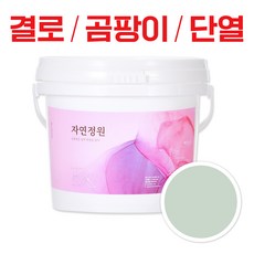 바르는 천연 단열 페인트 자연정원 항균 방수 곰팡이제거 결로방지, BR029 라이트 그린, 5kg, 1개