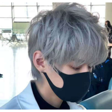 중년남자전체가발인모