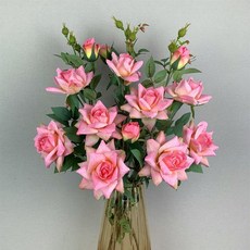 57869b4a8c9239dd9e0567b50e8a43c4c2ec280dc05ec4204923393e6d11.jpg