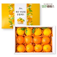 [당찬파머스] 제주 만감류(한라봉+천혜향+레드향) 선물세트, 1세트, 만감류 (3kg/4+4+4)