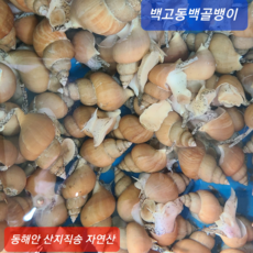 통골뱅이탕