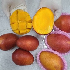 멜론선물세트