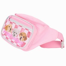 강아지등교가방