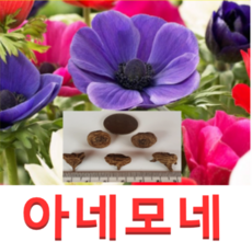 ac1c1eee516f1a58d57f99f141b46b3ac2f07e6e1650c3af9d2759f22599.png