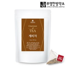 부영한방약초 계피차 계피차티백 100티백 대용량, 100개, 1.5g, 100개입, 1개