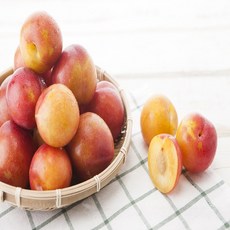 달콤달콤 자두, 새콤달콤 자두 1.5kg 왕특과