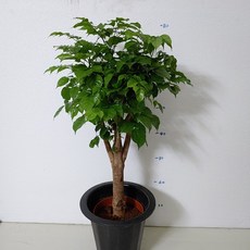 fee709a41746639cfa0ca79cde450f79377e8cc9806efb20892548ebb00f.jpg