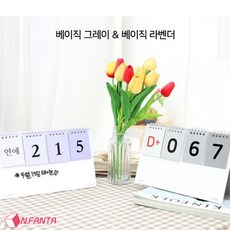 디데이달력성장카드
