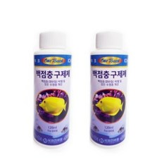백점병