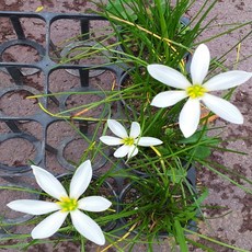 fb3d2d6c9322c981c801a1769317d06cb09fc900979993f4961b28af6110.jpg