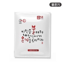 불온기 핫팩 손난로 100g, 40개