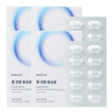장건강유산균 NBM7 비피더스B3 100억CFU 120캡슐 4개월, 1개, 240정