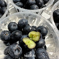 [31일 이후 순차출고/하이앤드 품질] 동글동글 생 블루베리, 1개, 125g*3팩