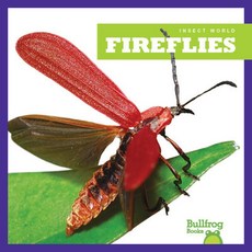 [AR 퀴즈 지원도서 0점대] Insect World Series 6종