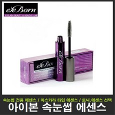 에블린속눈썹